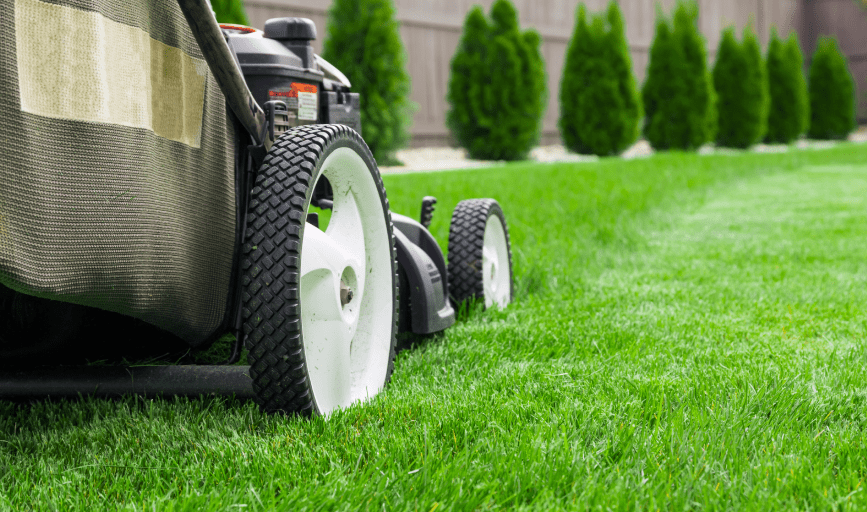 LAWN MOWING