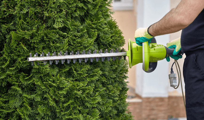 BUSH TRIMMING