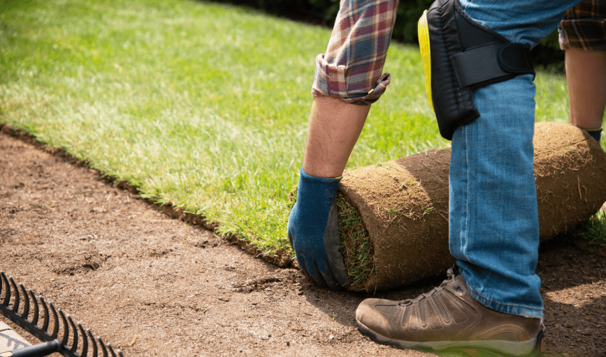 SOD INSTALLATION